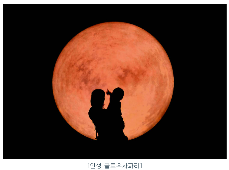 닷밀 공모주 청약일정 수요예측 상장일