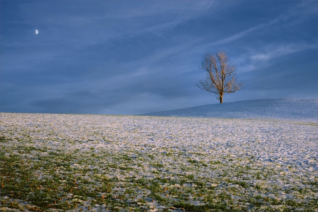 정기예금 이율높은곳