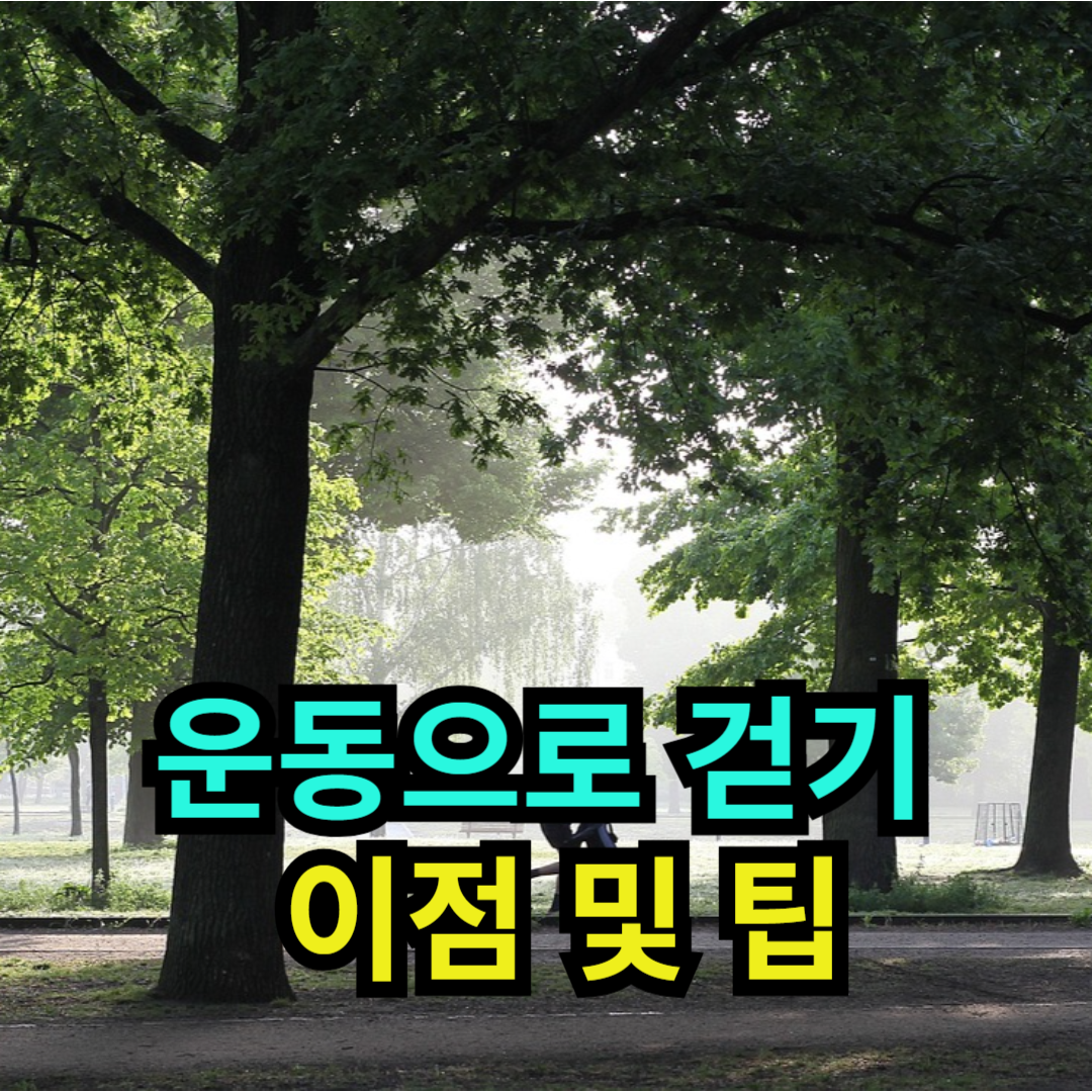 운동으로 걷기 - 이점 및 팁