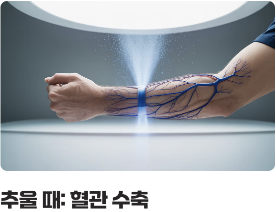우리 몸의 똑똑한 에어컨, ‘자율신경’