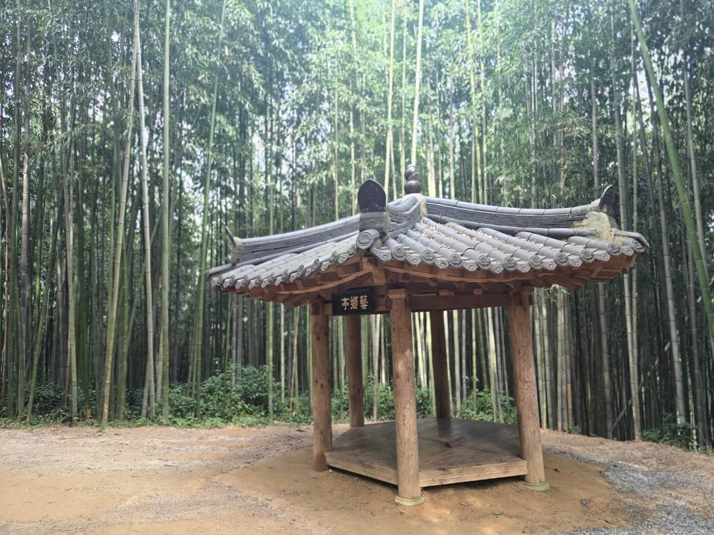 정자