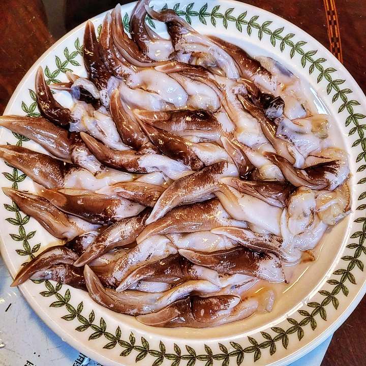 6시내고향 홍성 남당항 새조개 샤부샤부 전국 택배 주문 구매 가능 쭈꾸미 해산물 맛집 오늘 방송 추천