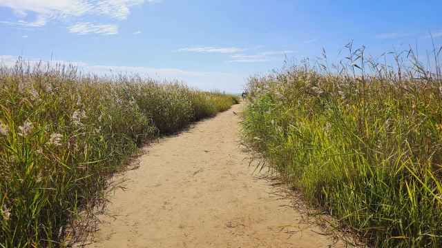 다대포 해수욕장 입구