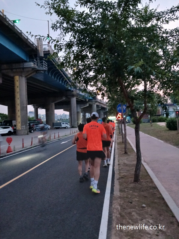 Group jogging under city overpass at dusk – consistent running routine for full-body health.-도심 고가도로 아래 자전거 도로에서 단체 조깅을 실천하는 모습