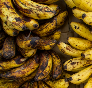 갱년기에 좋은 음식