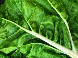 혈압에 좋은 음식