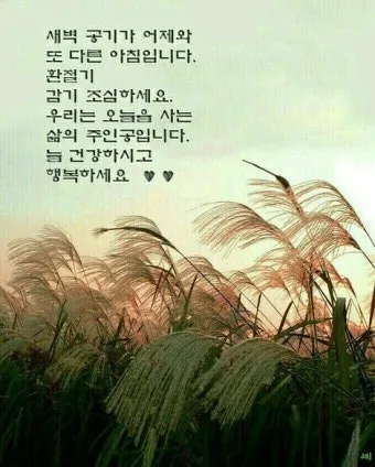 환절기 인사말 모음 예시 멘트_4