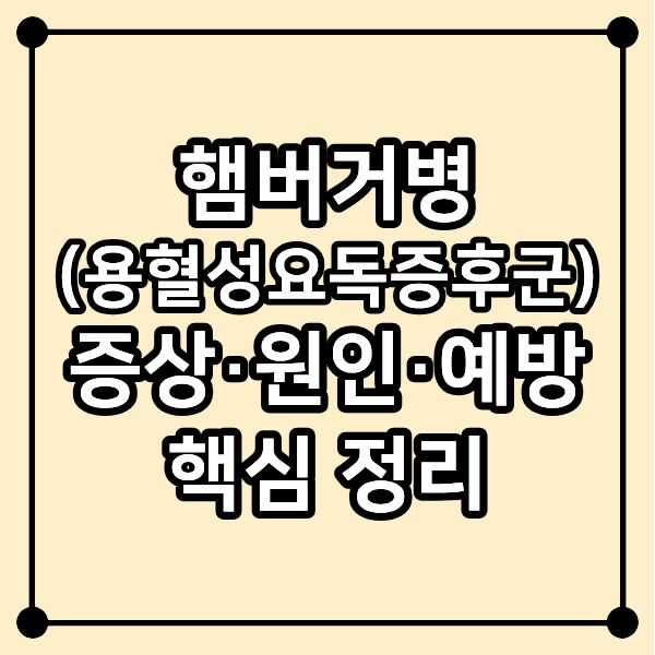 햄버거병(용혈성요독증후군) 증상&middot;원인&middot;예방 핵심 정리