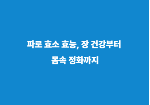 파로 효소 효능, 장 건강부터 몸속 정화까지