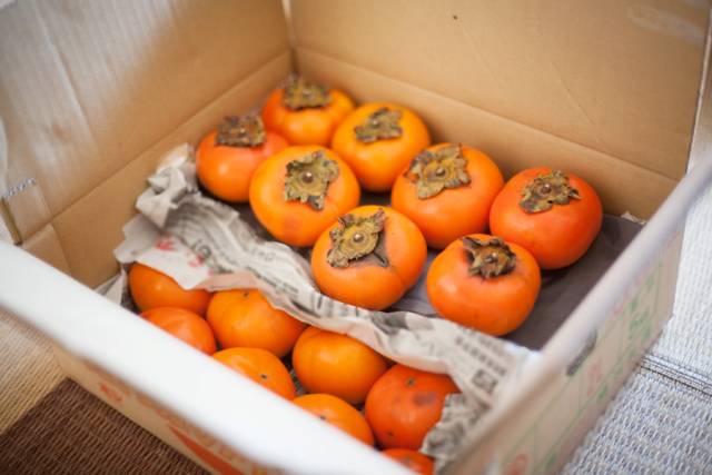 감 보관법,감 보관기간,감꼭지 효능,감꼭지차 만들기