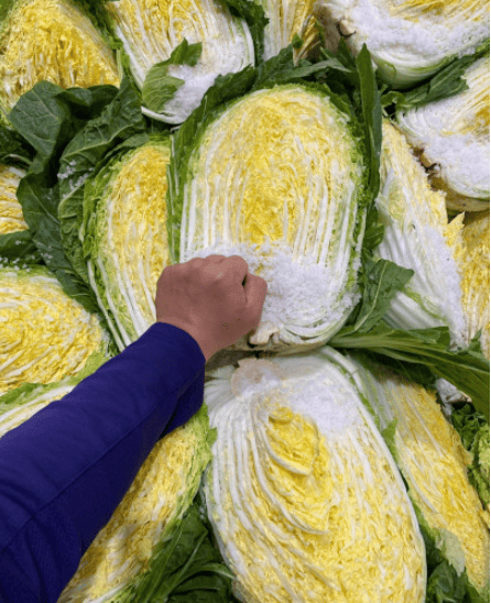 절임배추 추천 순위 TOP 5(24년 11월) - 네이버&amp;#44; 쿠팡 절임배추 판매 분석