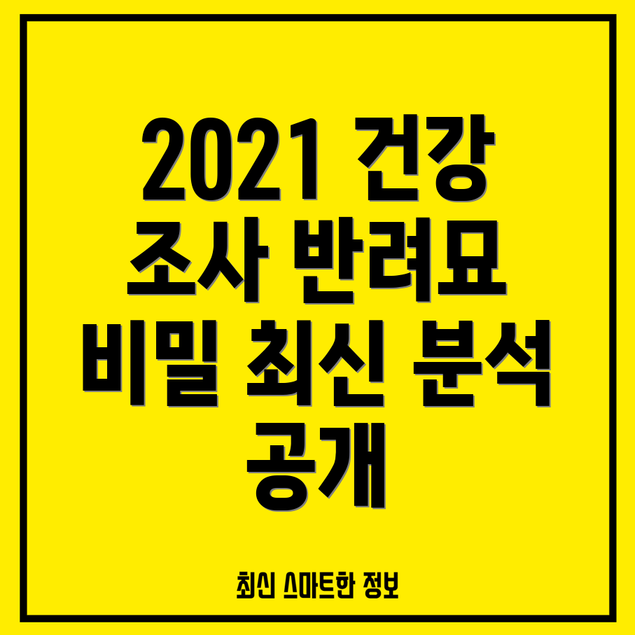 반려묘 건강 관리