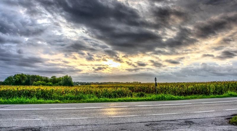 동적 하중의 이해
