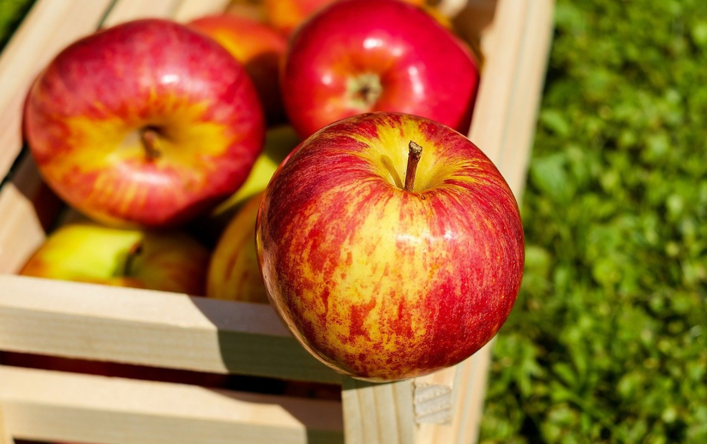 과일 빨리 익히는 방법에 대해서 알아보자