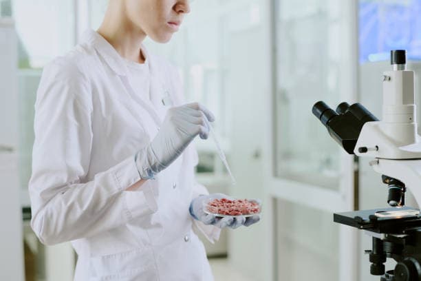 배양육에 대한 잘못된 정보와 오해 풀기