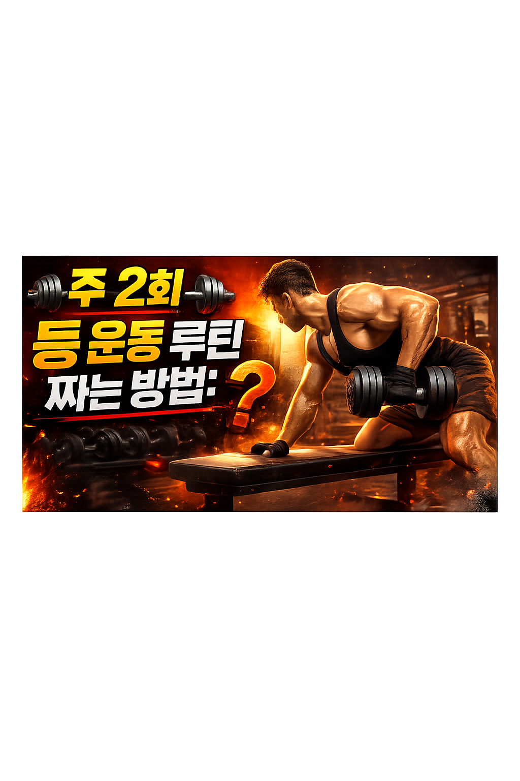 주 2회 등 운동 루틴 짜는 방법