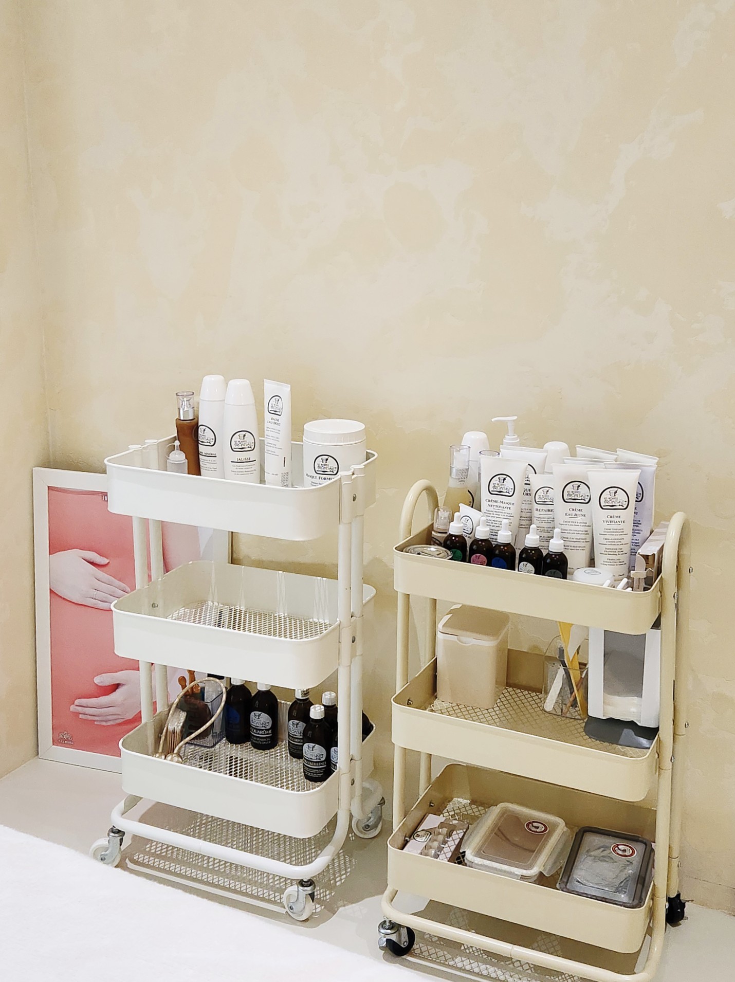 델피니움에스테틱