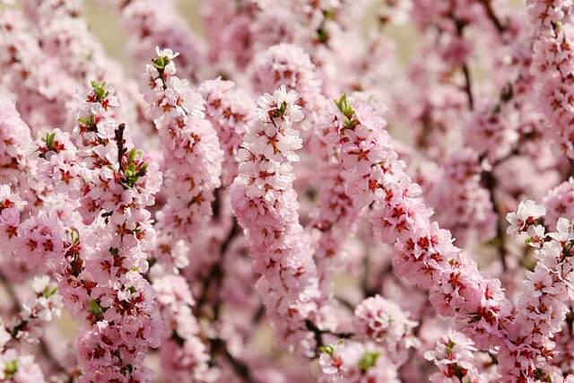 플러팅 뜻 테스트 몇점