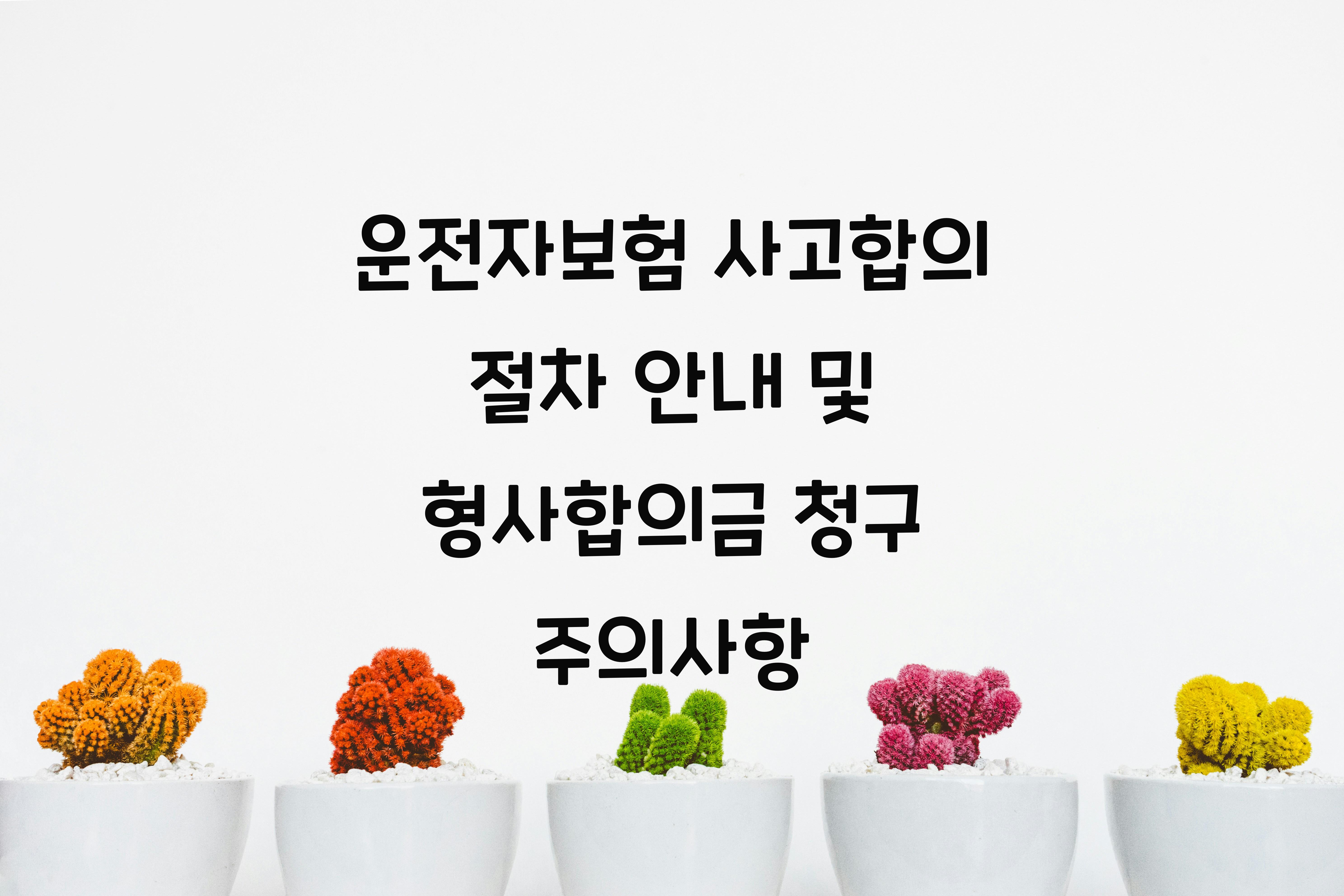 운전자보험 사고합의 절차 안내