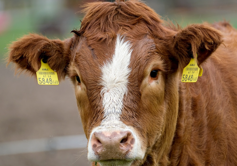 오늘의 운세 10월 27일