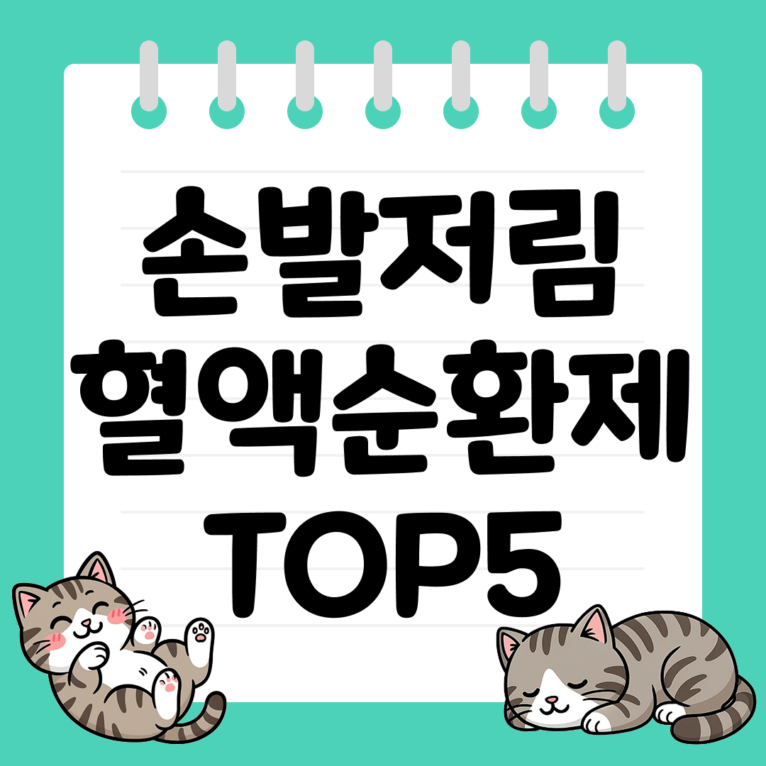 손발저림혈액순환제 추천 순위 TOP5