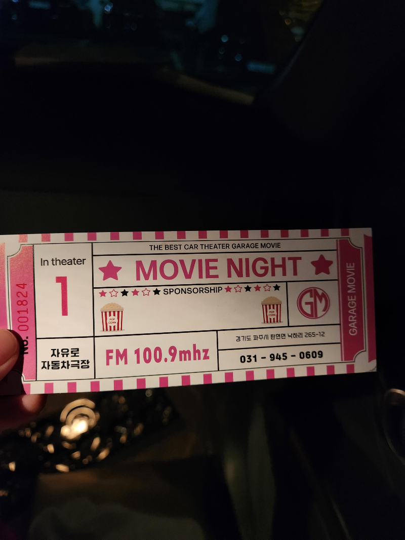 파주 자유로 자동차 극장