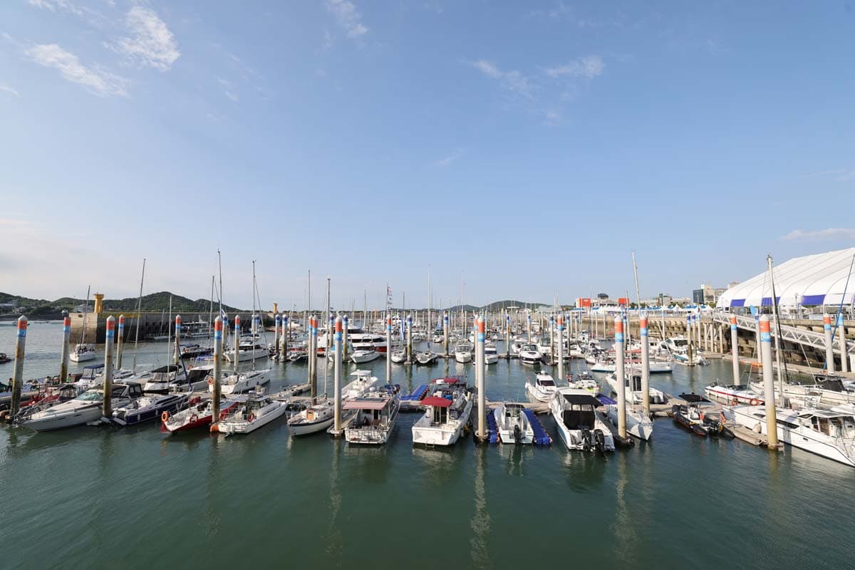 [5월~6월 축제]2025 화성 뱃놀이 축제❘기간, 일정, 프로그램 및 공연 사전 예약 방법