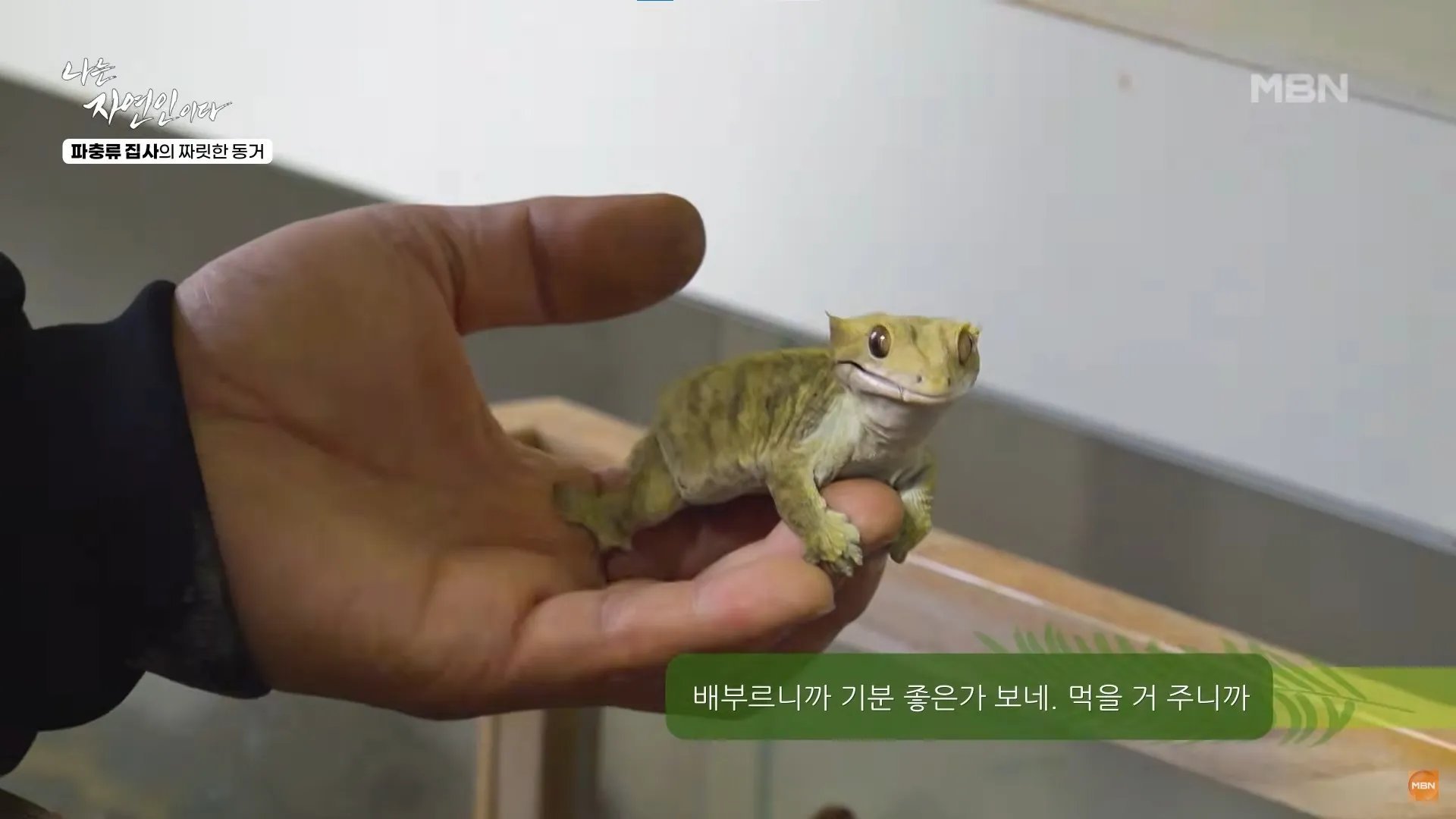 나는 자연인이다 640회