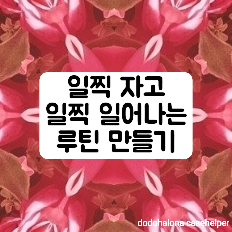 일찍 자고 일찍 일어나는 루틴 만들기