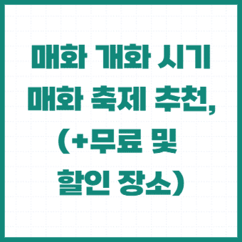 매화-개화-시기-축제