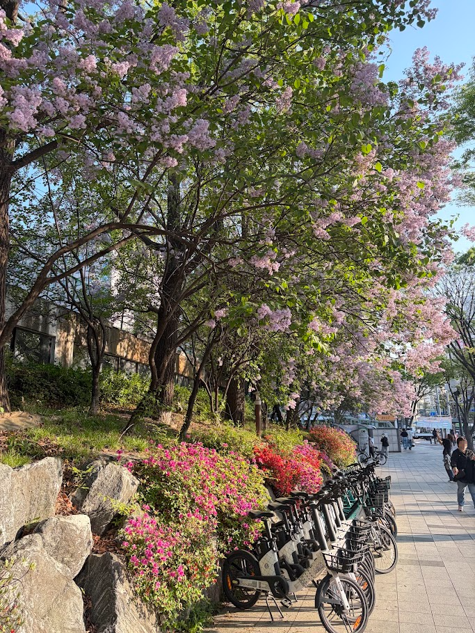 추억의 어린이대공원