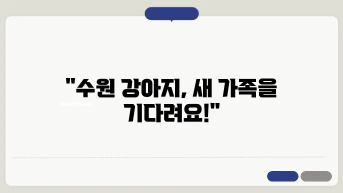 수원강아지보호소와 새로운 시작