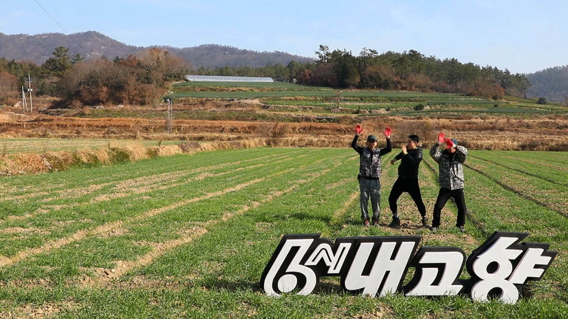 박군, '6시 내고향' 새 코너 '효도기획 박대리' 출연 시간