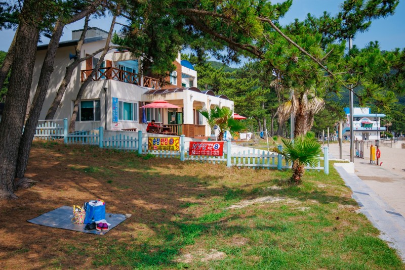 송정솔바람야영장 남해군 송정솔바람해변