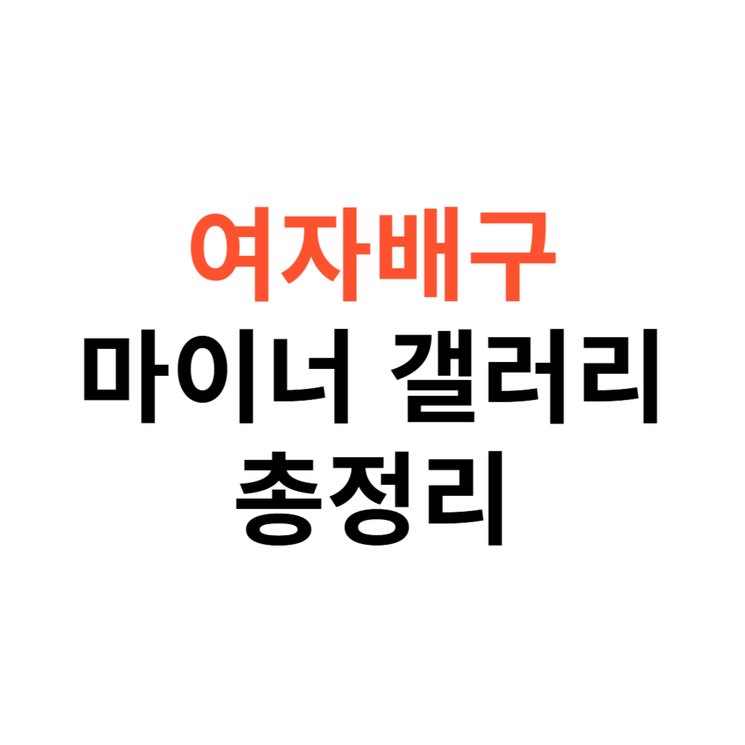 여자배구 마이너갤러리