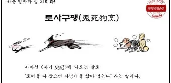 토사구팽 뜻과 5가지 상황별 해석 정리_11