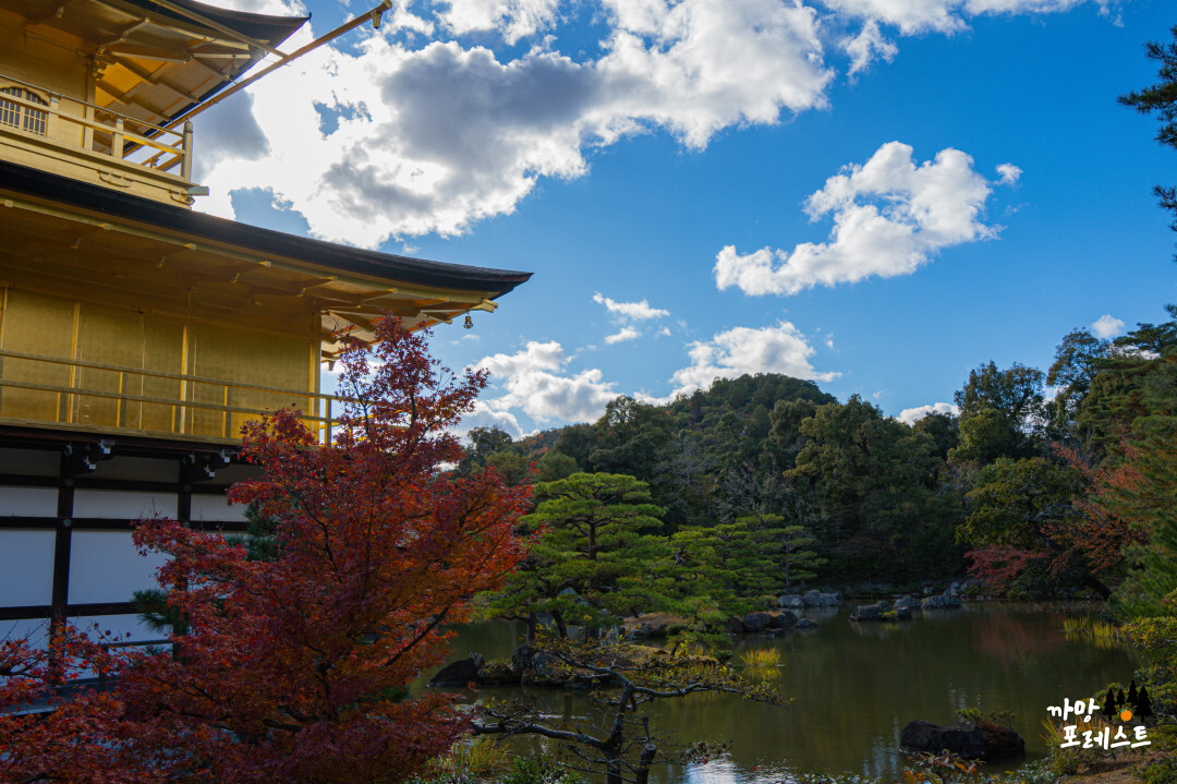 금각사 구경