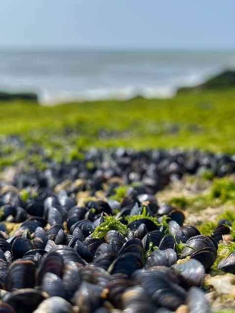 바닷속 건강한 미네랄