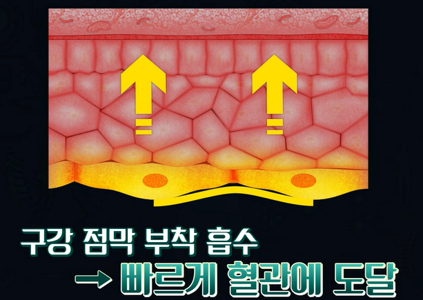 글루타치온 복용법