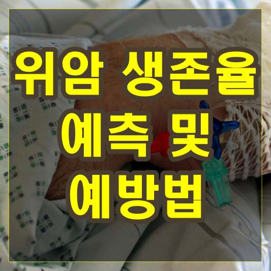위암 생존율 예측 및 예방법