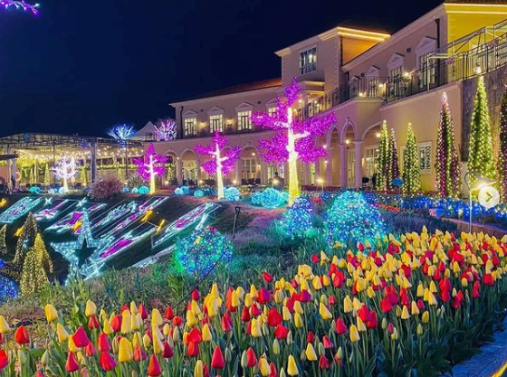 파주 가볼만한 곳 ❘ 자연과 문화가 공존하는 여행지 추천