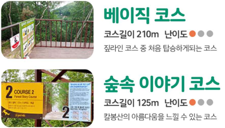 가평 브릿지 짚라인