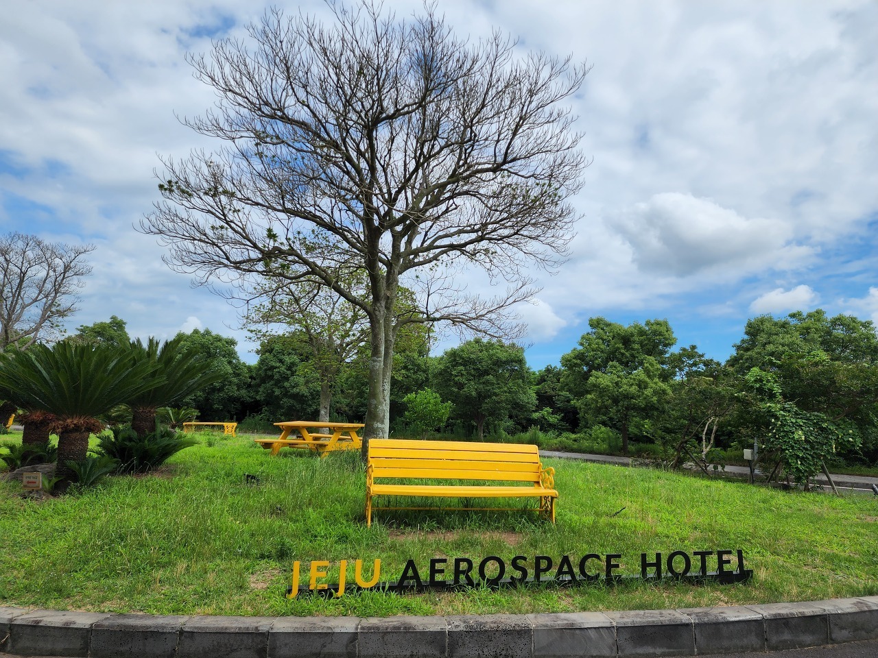 JEJU AEROSPACE HOTEL 제주 항공우주호텔 호텔