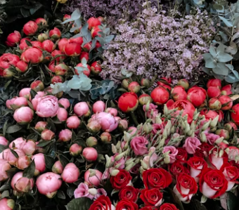 꽃집 창업에 대하여 알아보기