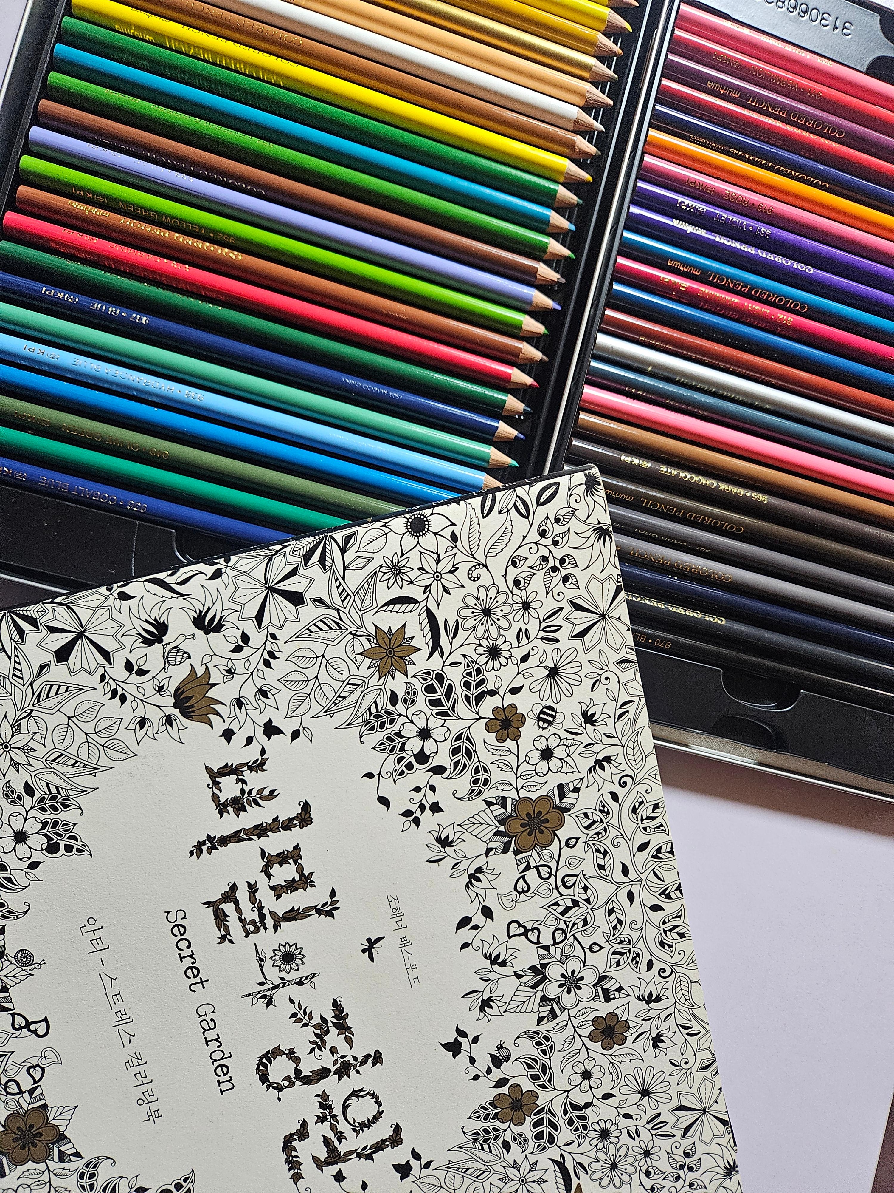 컬러링북으로 치매예방!｜집에서 시작하는 두뇌 활성 루틴 리뷰 관련 사진