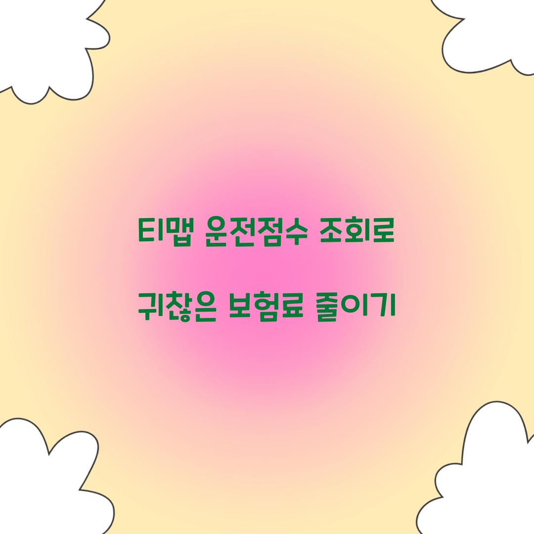티맵 운전점수 조회