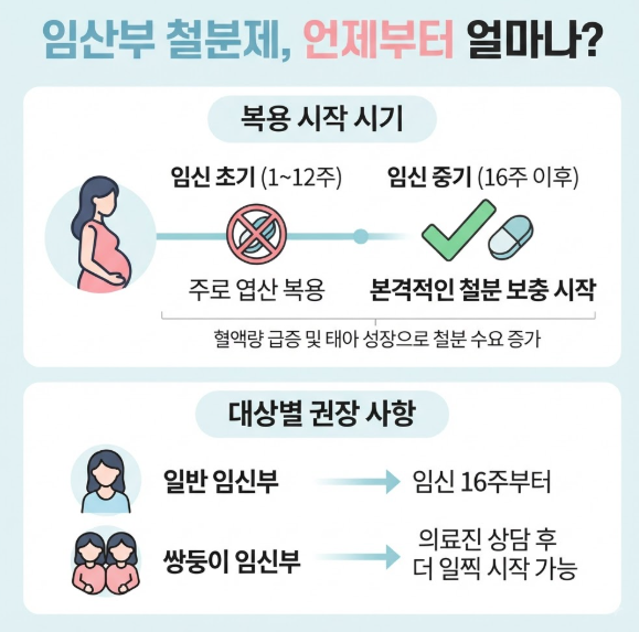 임산부철분제복용시기
