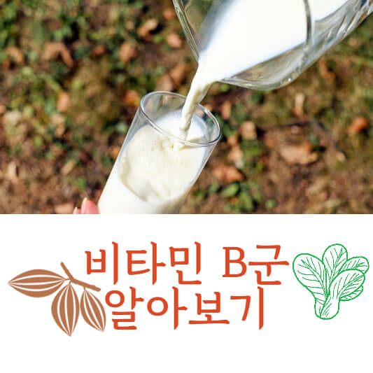 비타민B군