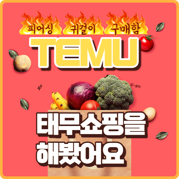 테무에서 쇼핑한 이야기