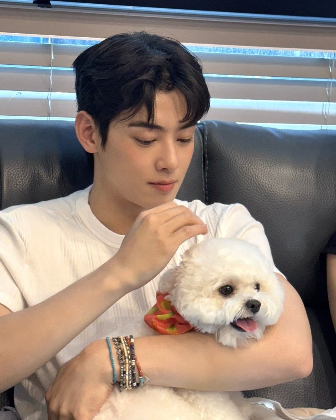 차은우 탈세 장어집 나이 입대 동생 부모님 프로필 제대 200억 추징금 현황